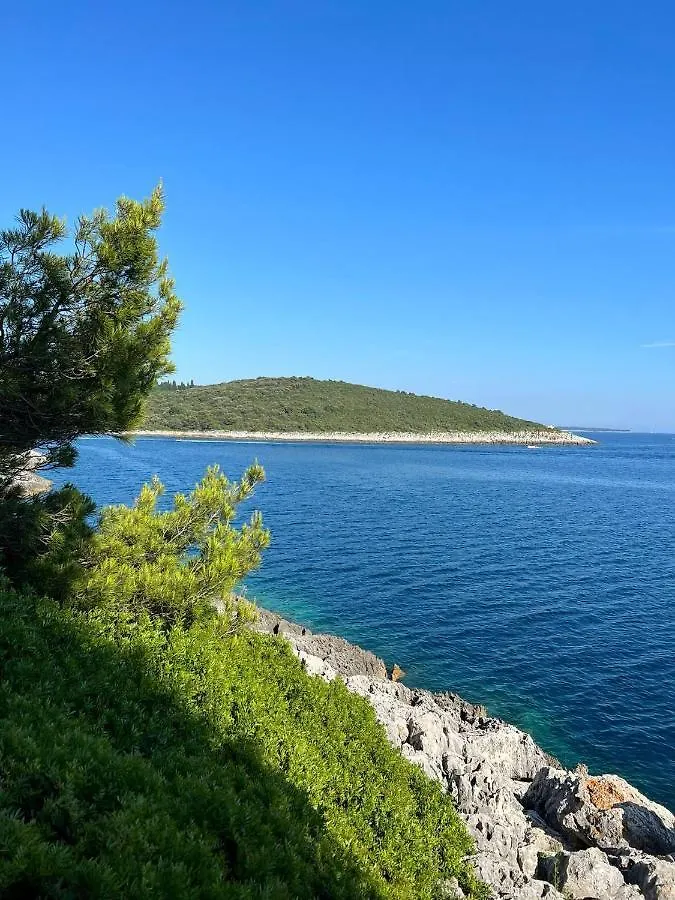 Villa Domus Maria With Swimming Pool And Free Parking Banjole 0*,